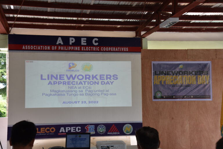 Read more about the article BILECO Linemen Participated in the Line Workers’ Appreciation Day